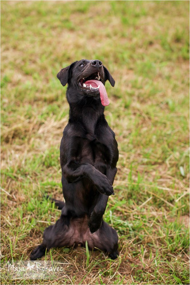 lolabu2014-uschi_020