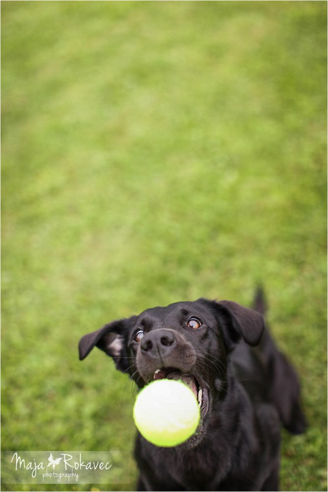 lolabu2014-uschi_026