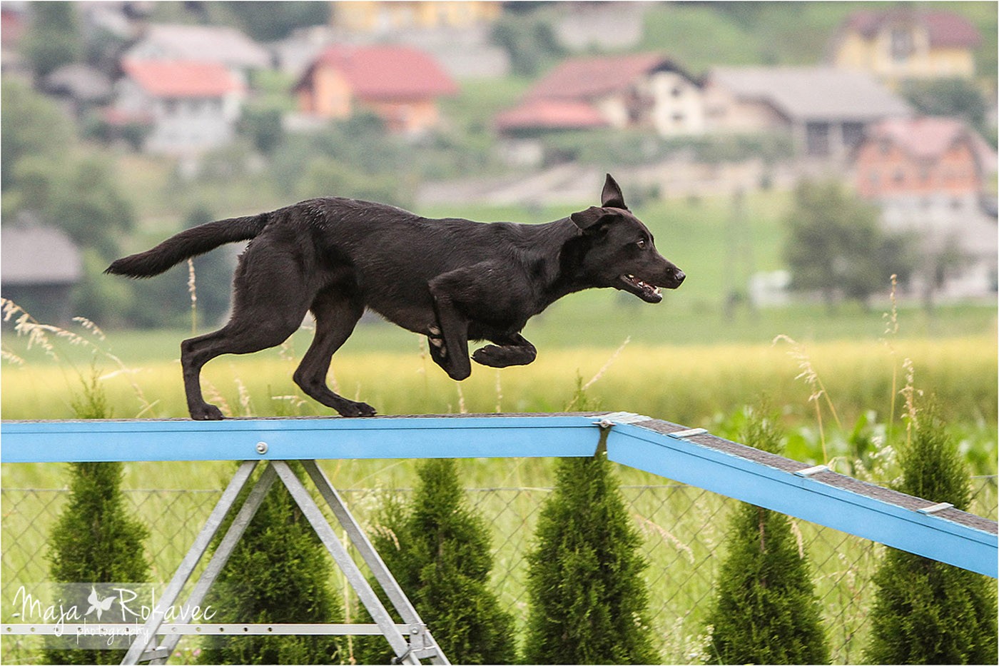 lolabu2014-uschi_028