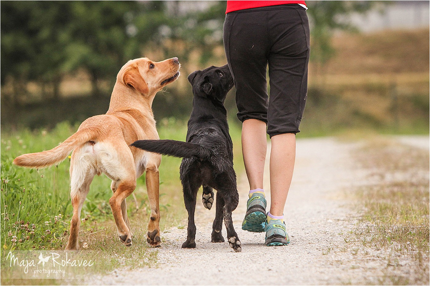 lolabu2014-uschi_030