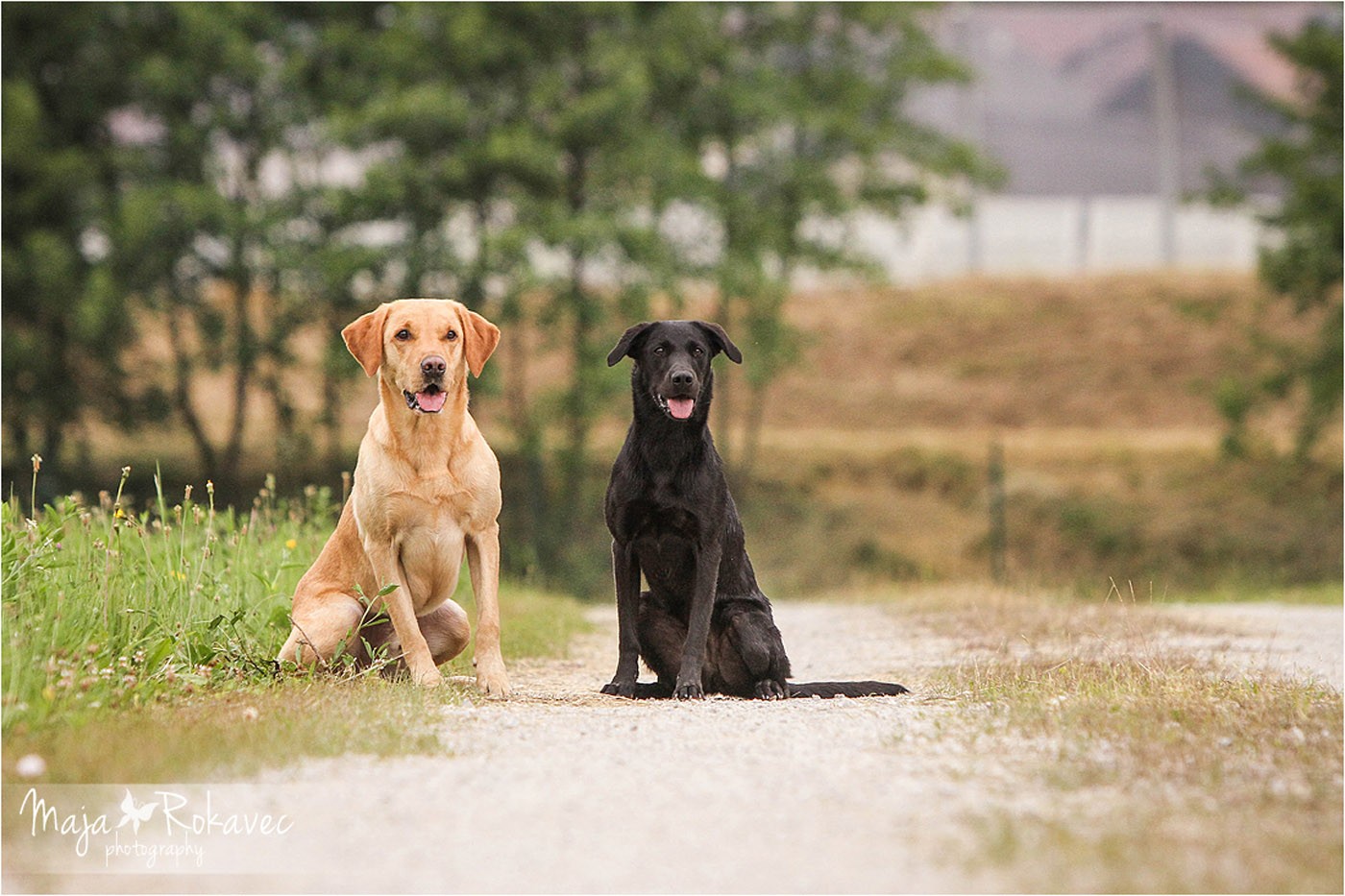 lolabu2014-uschi_039