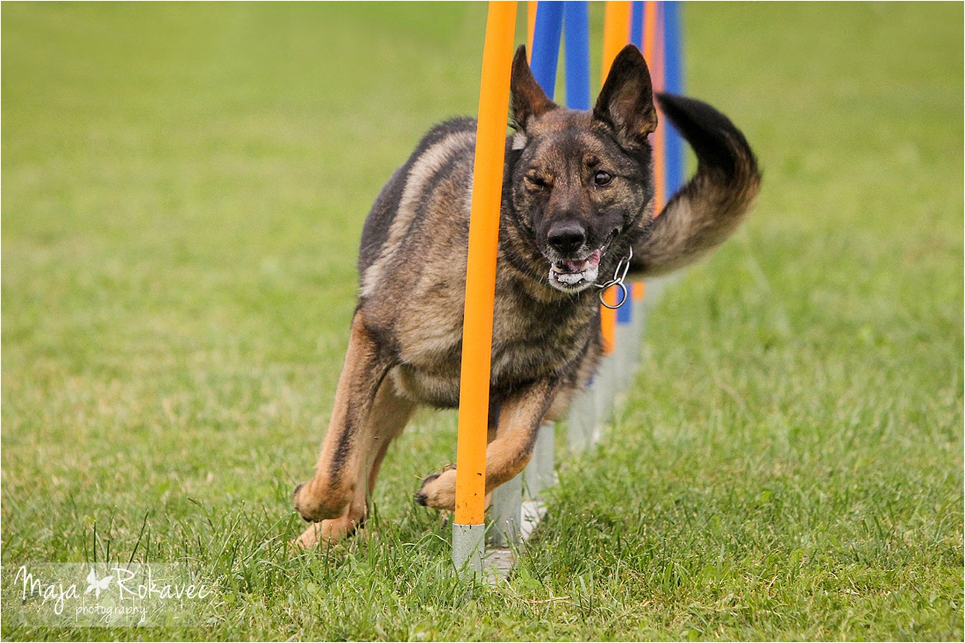 lolabu2014-uschi_044