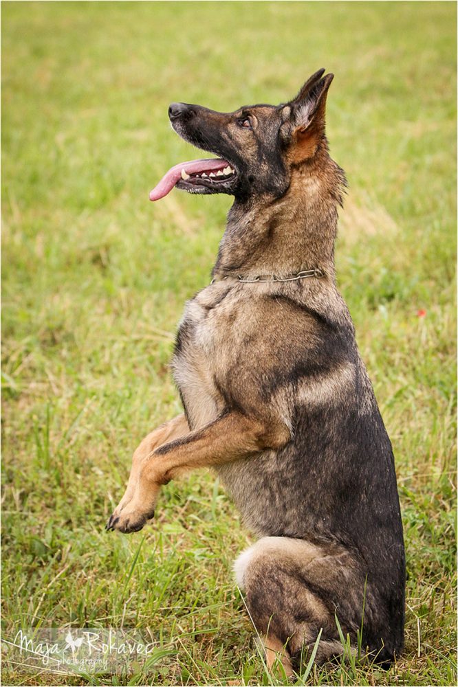 lolabu2014-uschi_046