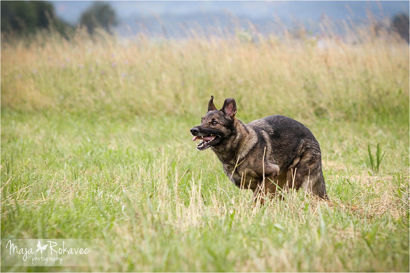 lolabu2014-uschi_049